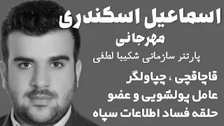 اسی پارتنر شکیبا؛ دزدان بزرگ بوشهر در چنگال سپاه